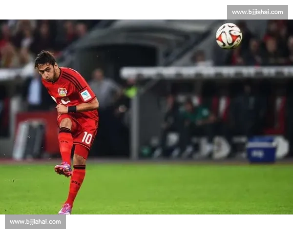 这脚法，简直是大师级别！德甲任意球艺术