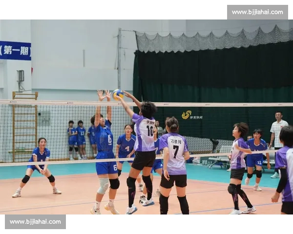 2024排球新王诞生！谁能登上荣耀之巅，改写冠军榜传奇