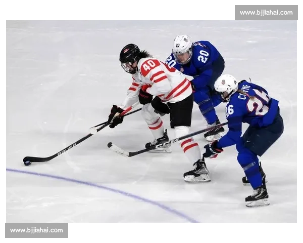 不仅仅是比赛,更是冰球精神的体现,令人肃然起敬!